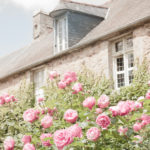 Jardin d'Argences, France