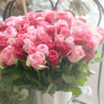 Roses in Parisian flower shop, Paris, France