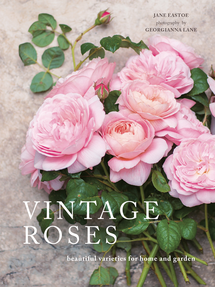 vintage-roses