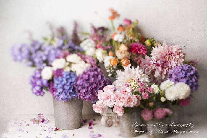 Parisian Apartment Floral Fantasy