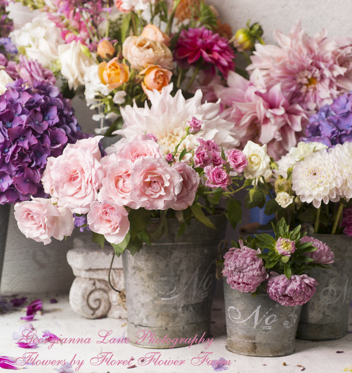 Parisian Apartment Floral Fantasy