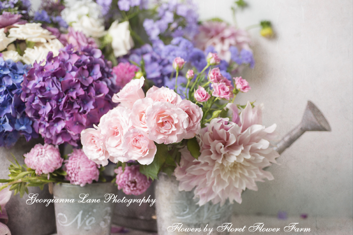 Market Flowers