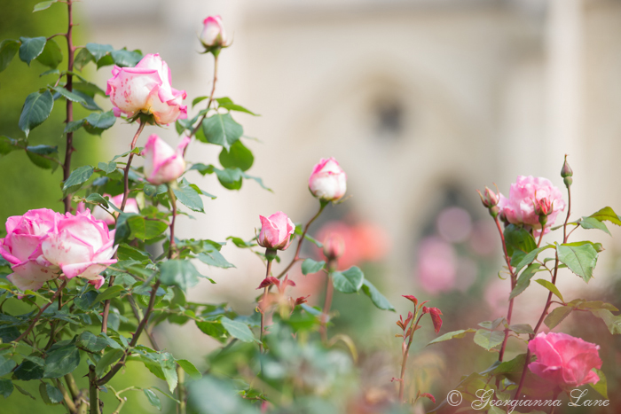 Musee Rodin Paris