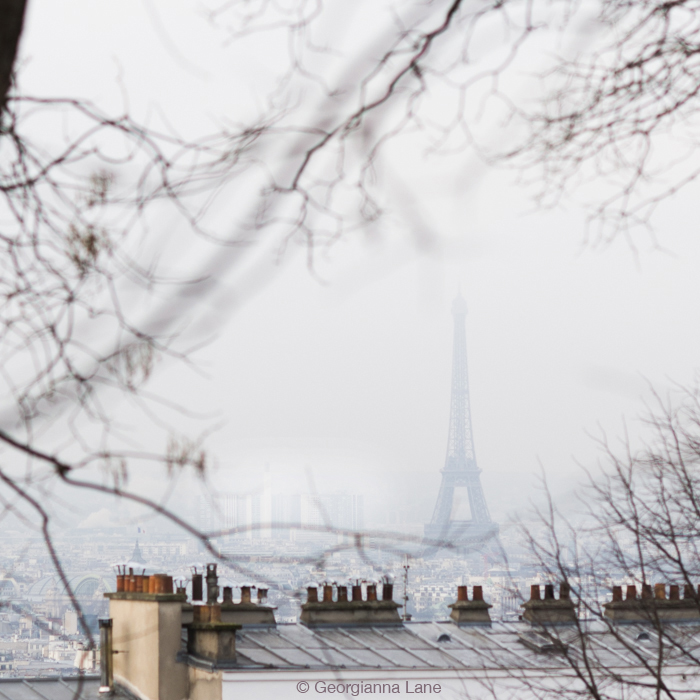 Eiffel Tower from Montmartre by Georgianna Lane