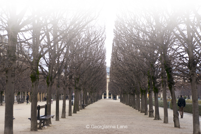 Allee of lime trees, Jardin Palais Royal 