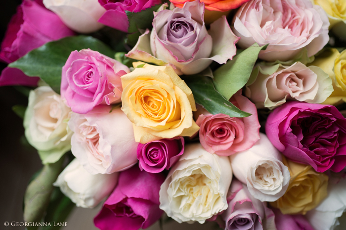 Bouquet of English Roses in Paris by Georgianna Lane