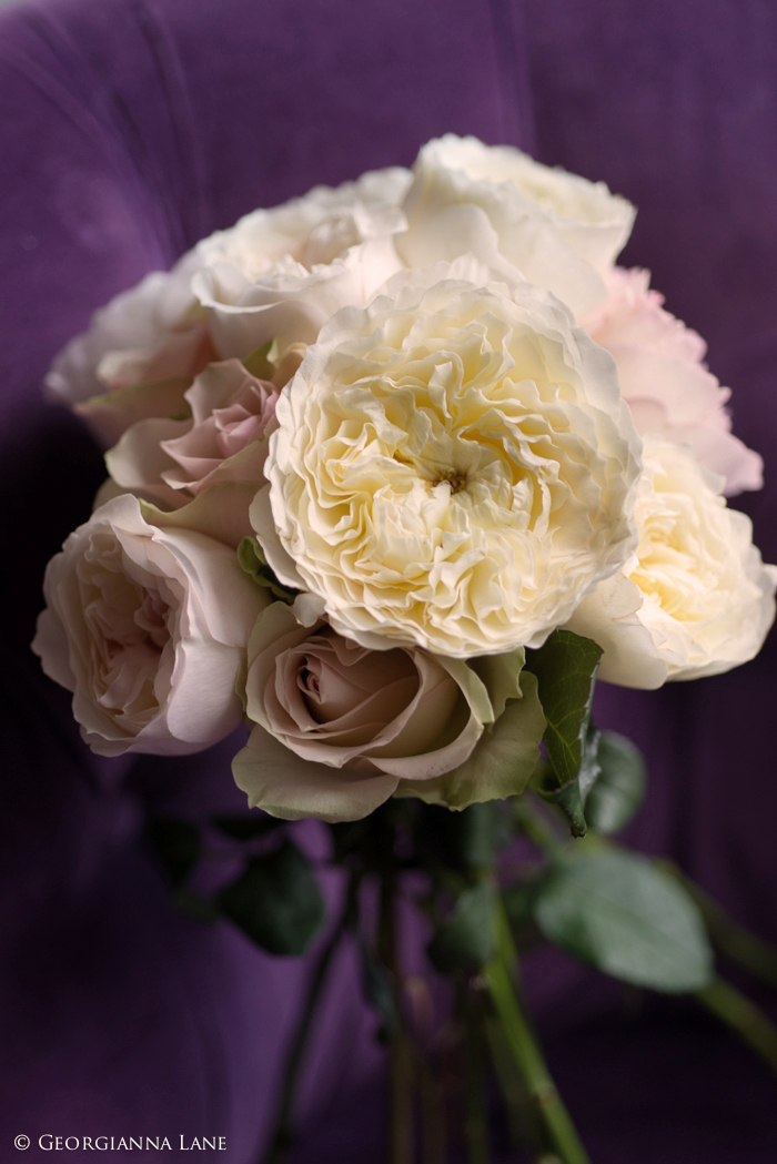 Bouquet of English Roses in Paris by Georgianna Lane