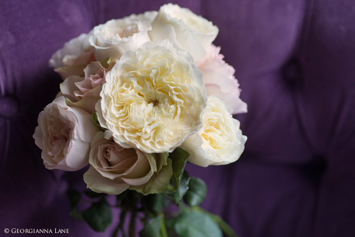 Bouquet of English Roses in Paris by Georgianna Lane