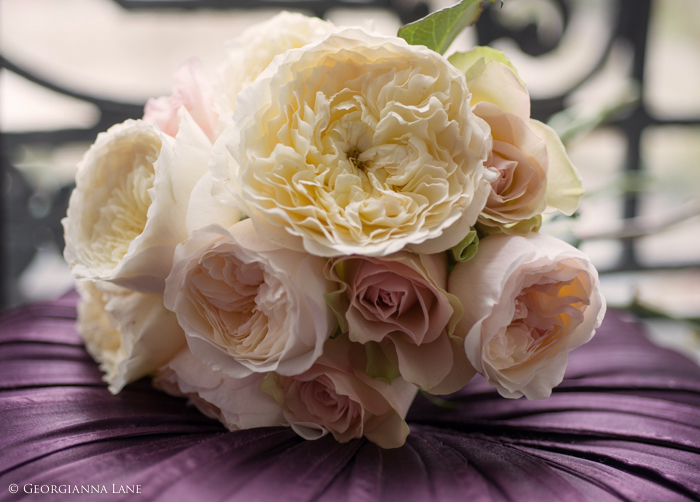 Bouquet of English Roses in Paris by Georgianna Lane