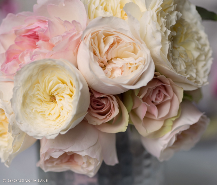 Bouquet of English Roses in Paris by Georgianna Lane