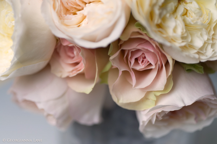 Bouquet of English Roses in Paris by Georgianna Lane