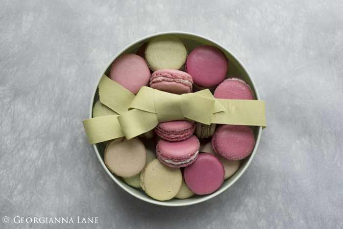 Paris Macarons photographed by Georgianna Lane