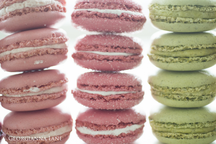 Paris Macarons photographed by Georgianna Lane