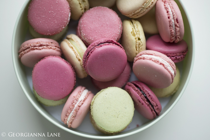 Paris Macarons photographed by Georgianna Lane