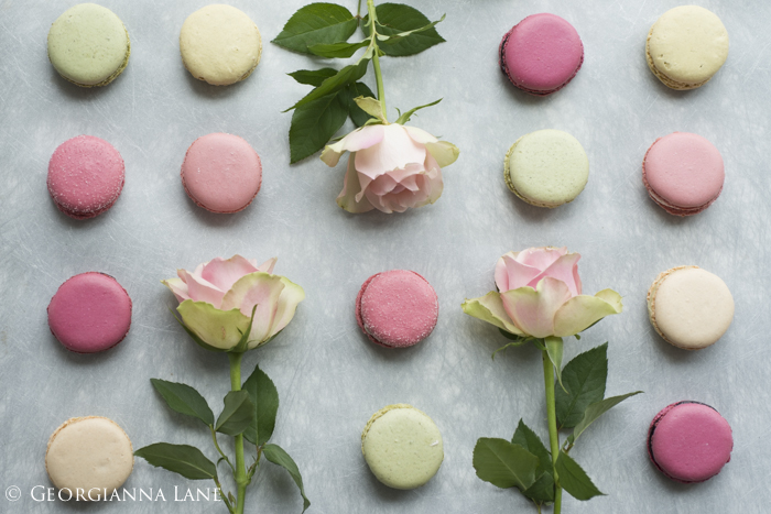 Paris Macarons and roses photographed by Georgianna Lane