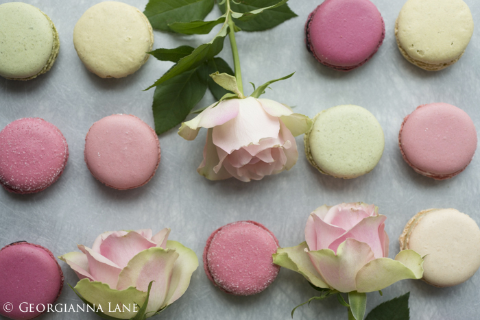 Paris Macarons and roses photographed by Georgianna Lane