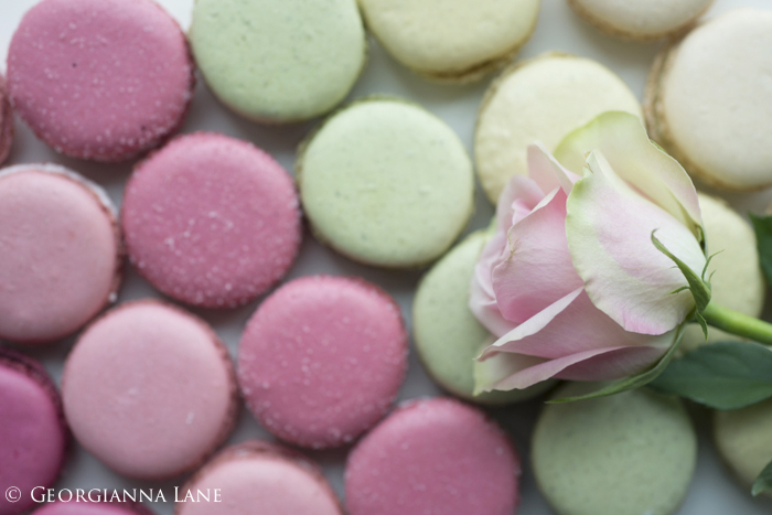 Paris Macarons and roses photographed by Georgianna Lane