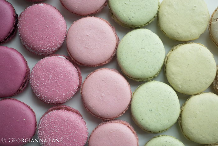 Paris Macarons photographed by Georgianna Lane