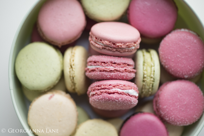 Paris Macarons photographed by Georgianna Lane