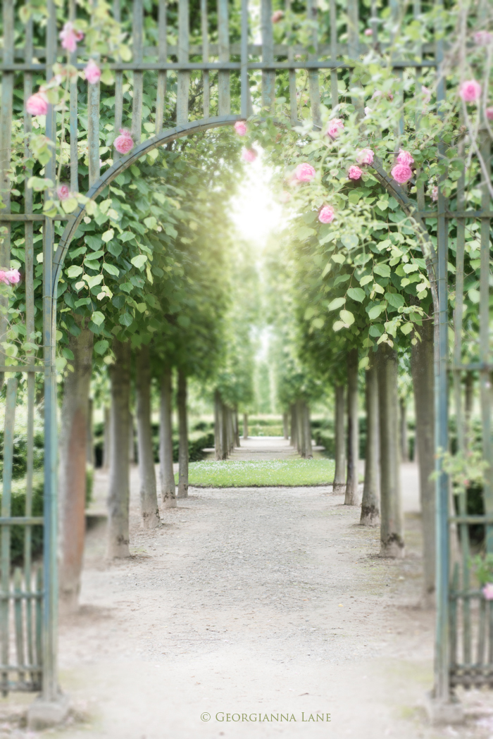 Garden at Le Petit Trianon, Versailles by Georgianna Lane