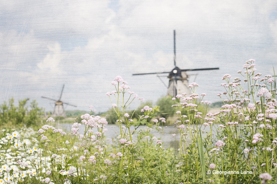 Windmills, Kinderdijk, The Netherlands by Georgianna Lane