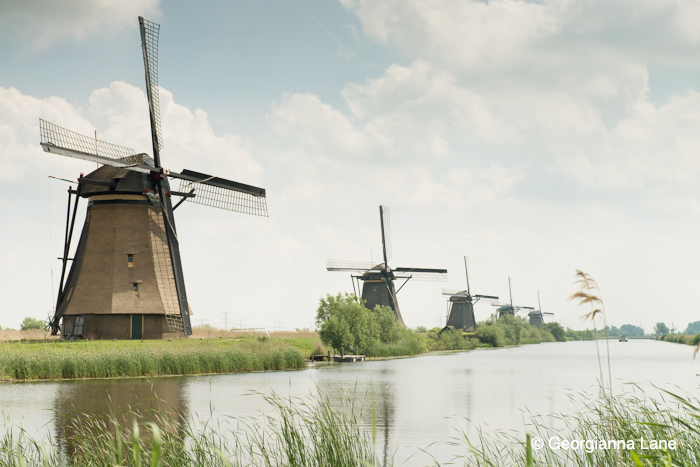 Windmills, Kinderdijk, The Netherlands by Georgianna Lane