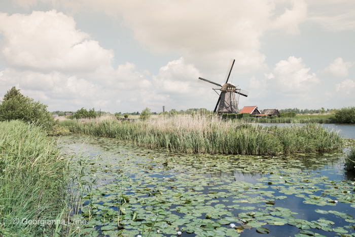 Windmill, Kinderdijk, The Netherlands by Georgianna Lane