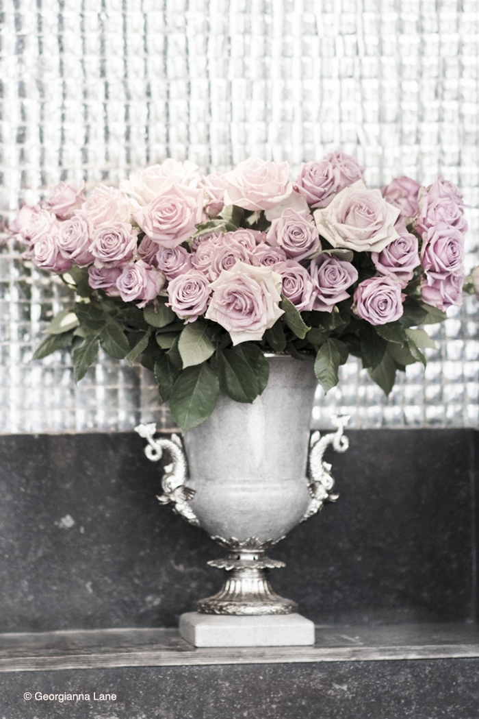 Paris roses by Georgianna Lane