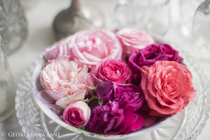 Roses at the Chilean home of María Cecilia photographed by Georgianna Lane