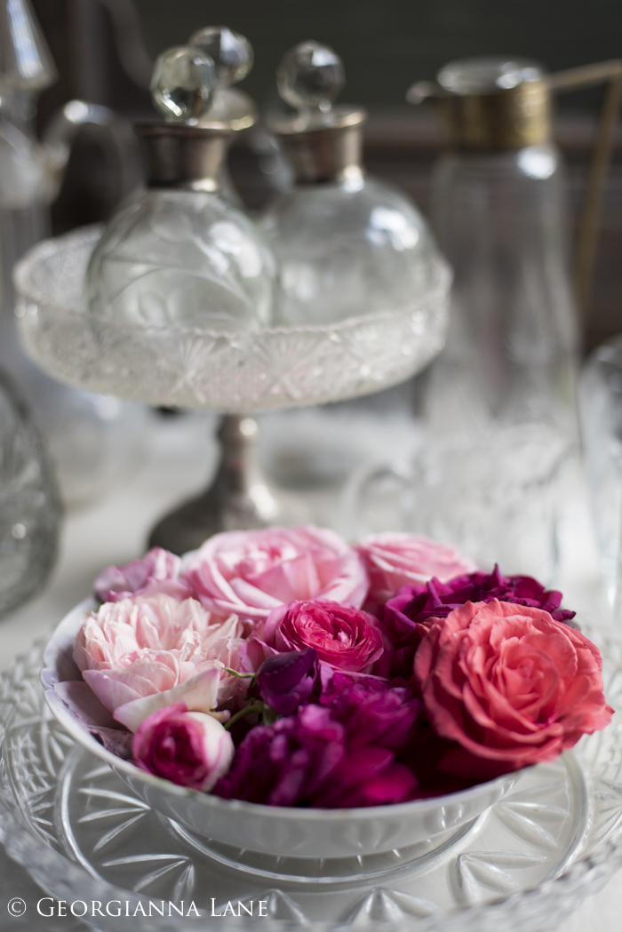 Roses at the Chilean home of María Cecilia photographed by Georgianna Lane