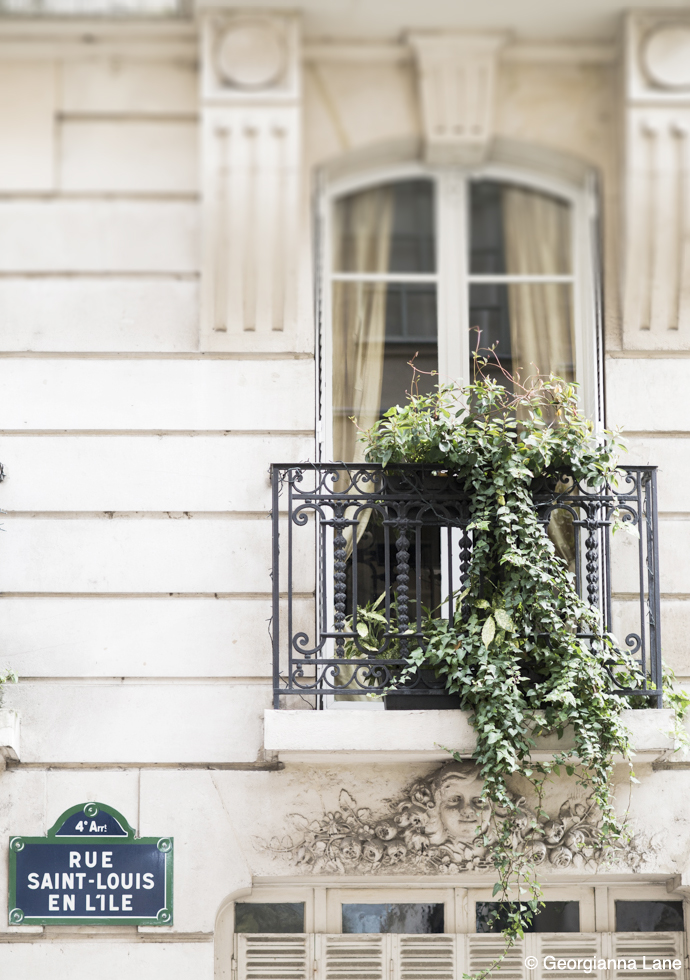 Window, Ile Saint-Louis, Paris, by Georgianna Lane