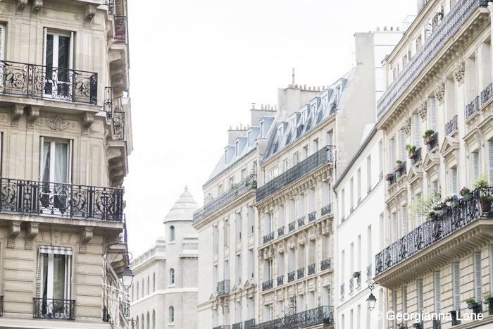 Rooftops, Paris, by Georgianna Lane