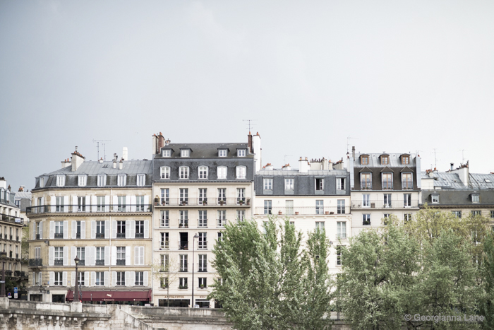 Rooftops, Paris, by Georgianna Lane