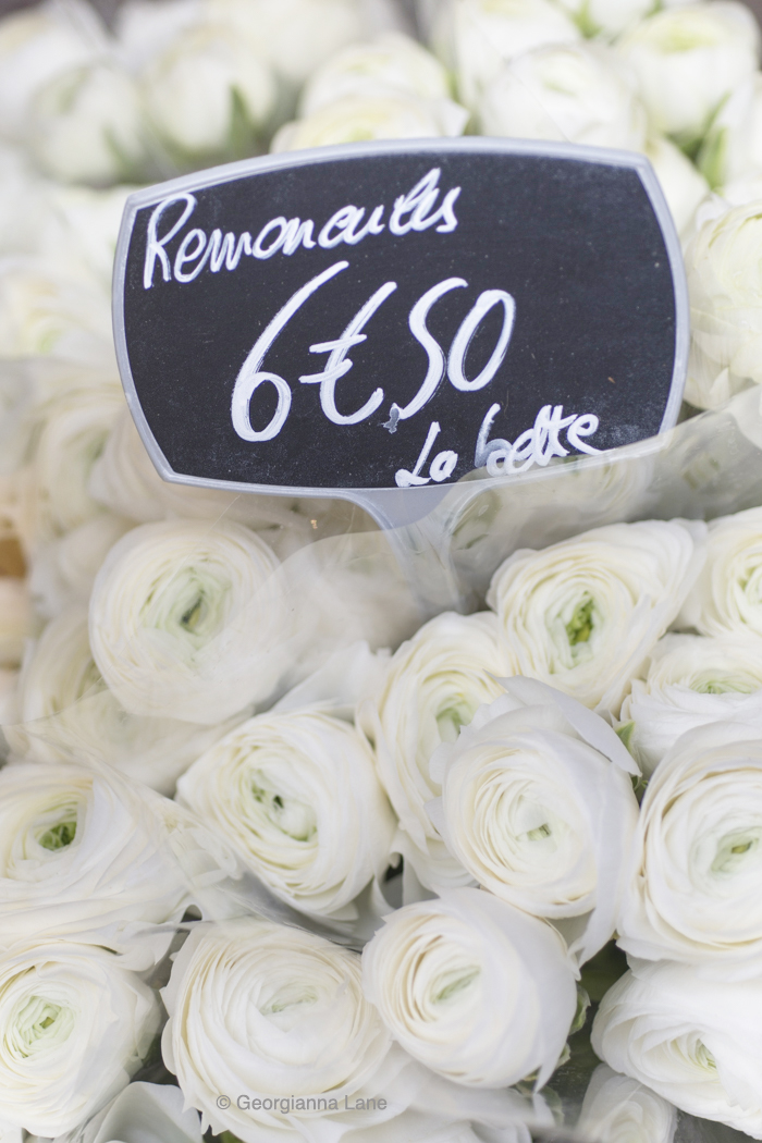 White ranunculus, Paris, by Georgianna Lane