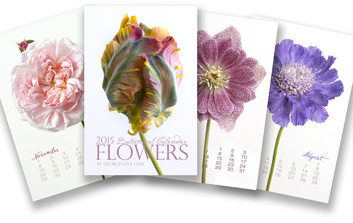 2015 Botanical Calendar by Georgianna Lane