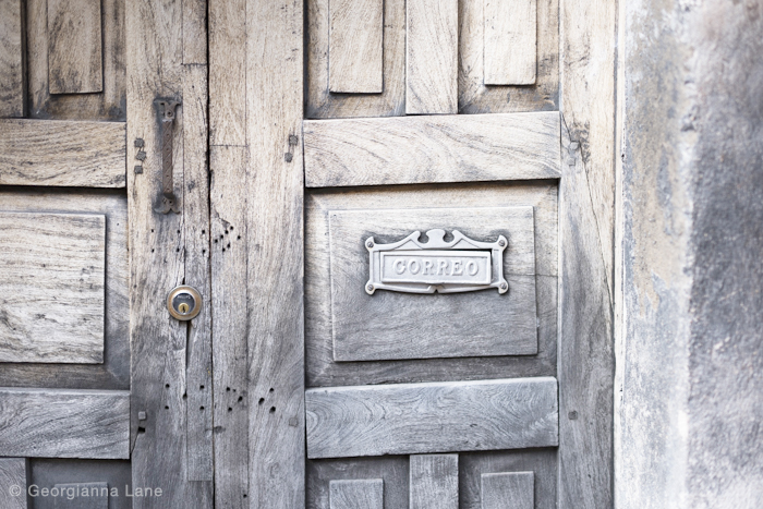 Door, San Miguel de Allende, Mexico, by Georgianna Lane