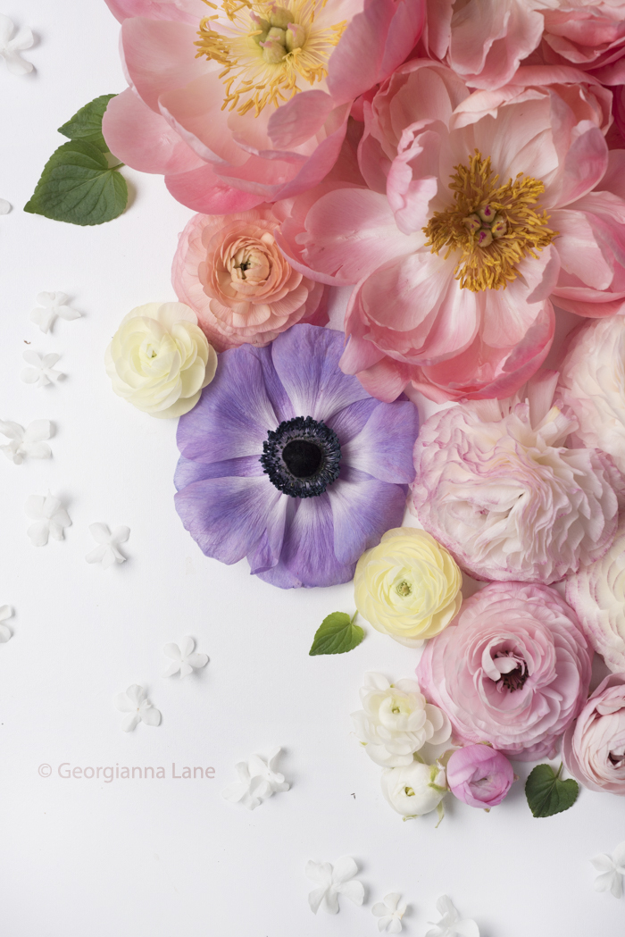 Coral Charm peonies, ranunculus and anemones by Georgianna Lane