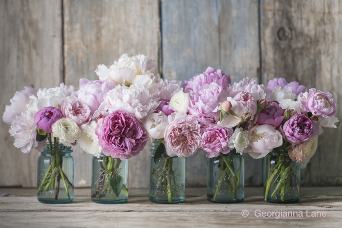 Peonies, David Austin roses and ranunculus in Mason jars by Georgianna Lane