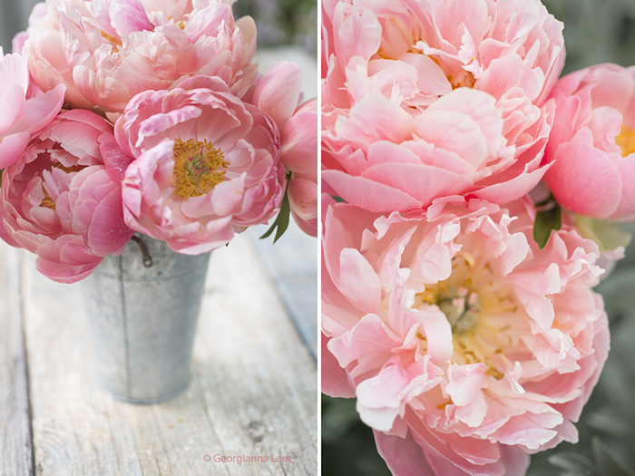 coral charm peony bouquet