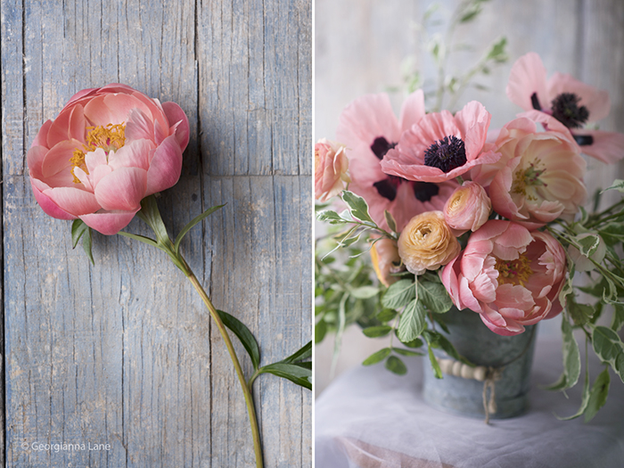 coral charm peony bouquet