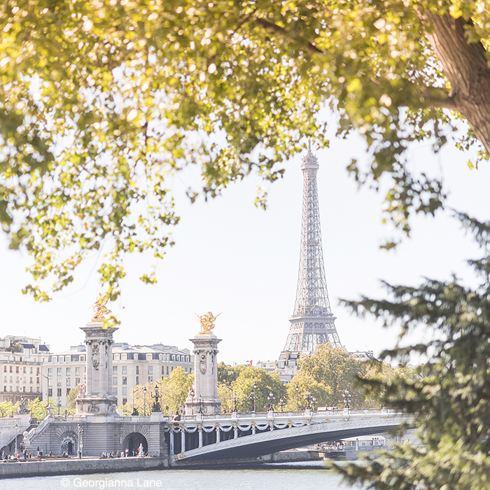 Autumn in Paris by Georgianna Lane