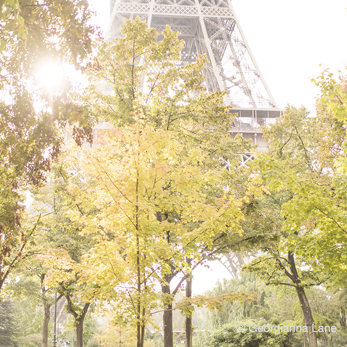 Autumn in Paris by Georgianna Lane