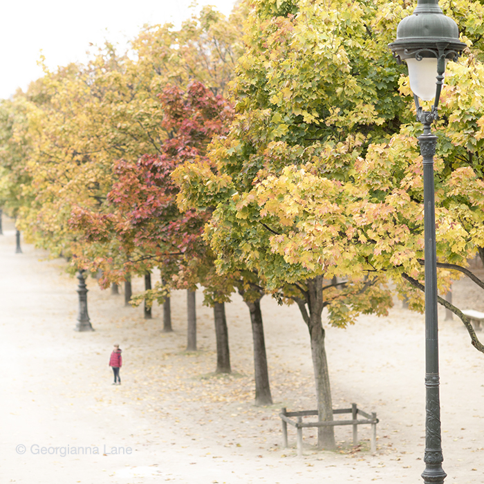 Autumn in Paris by Georgianna Lane