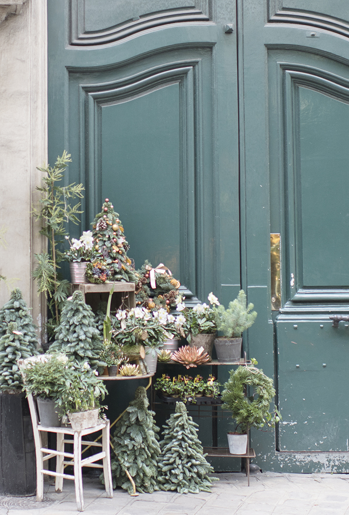 Christmas in Paris by Georgianna Lane