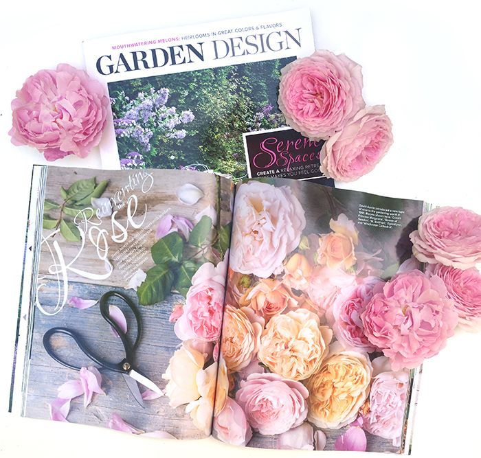 David Austin Roses by Georgianna Lane in Garden Design Magazine