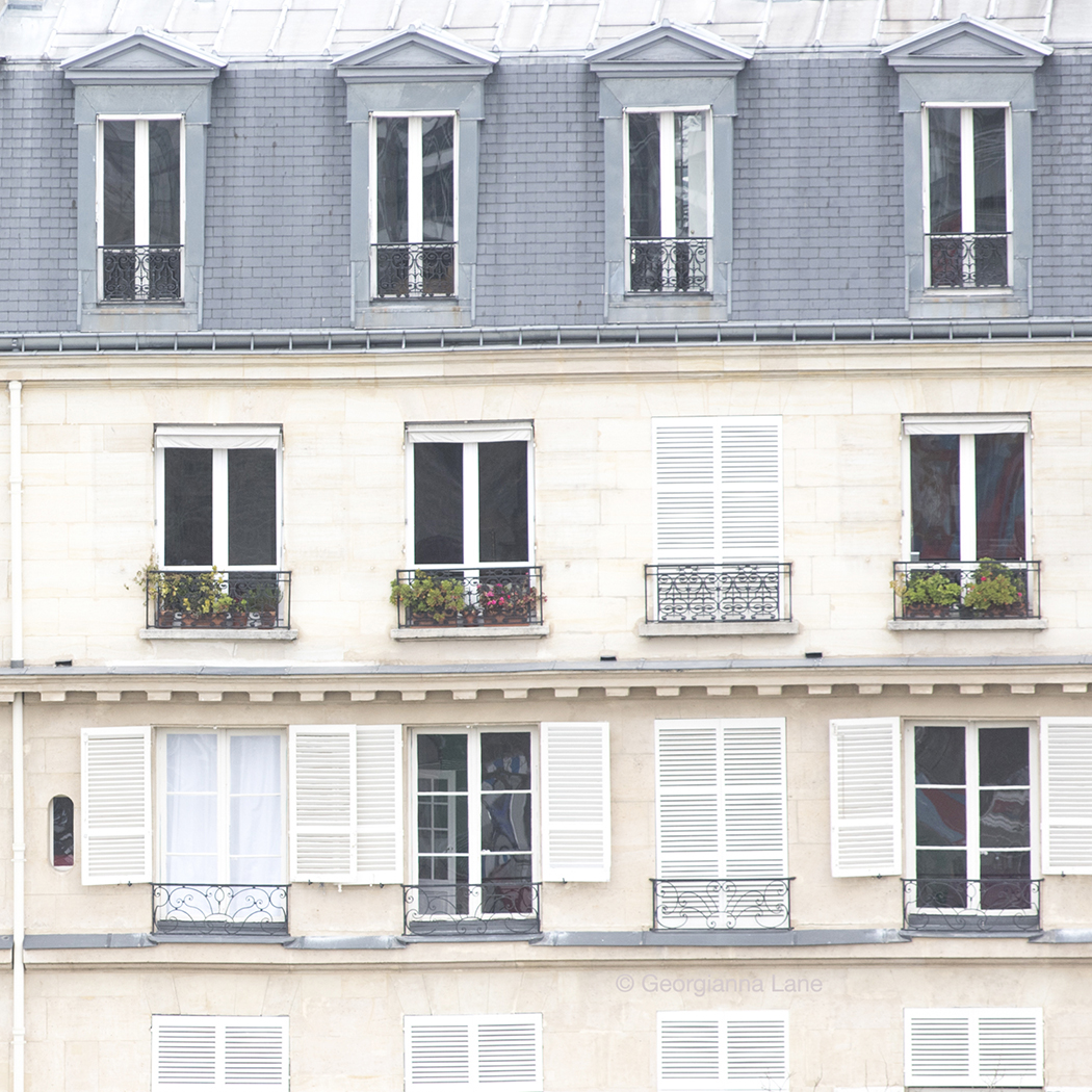 Winter Windows, Paris by Georgianna Lane