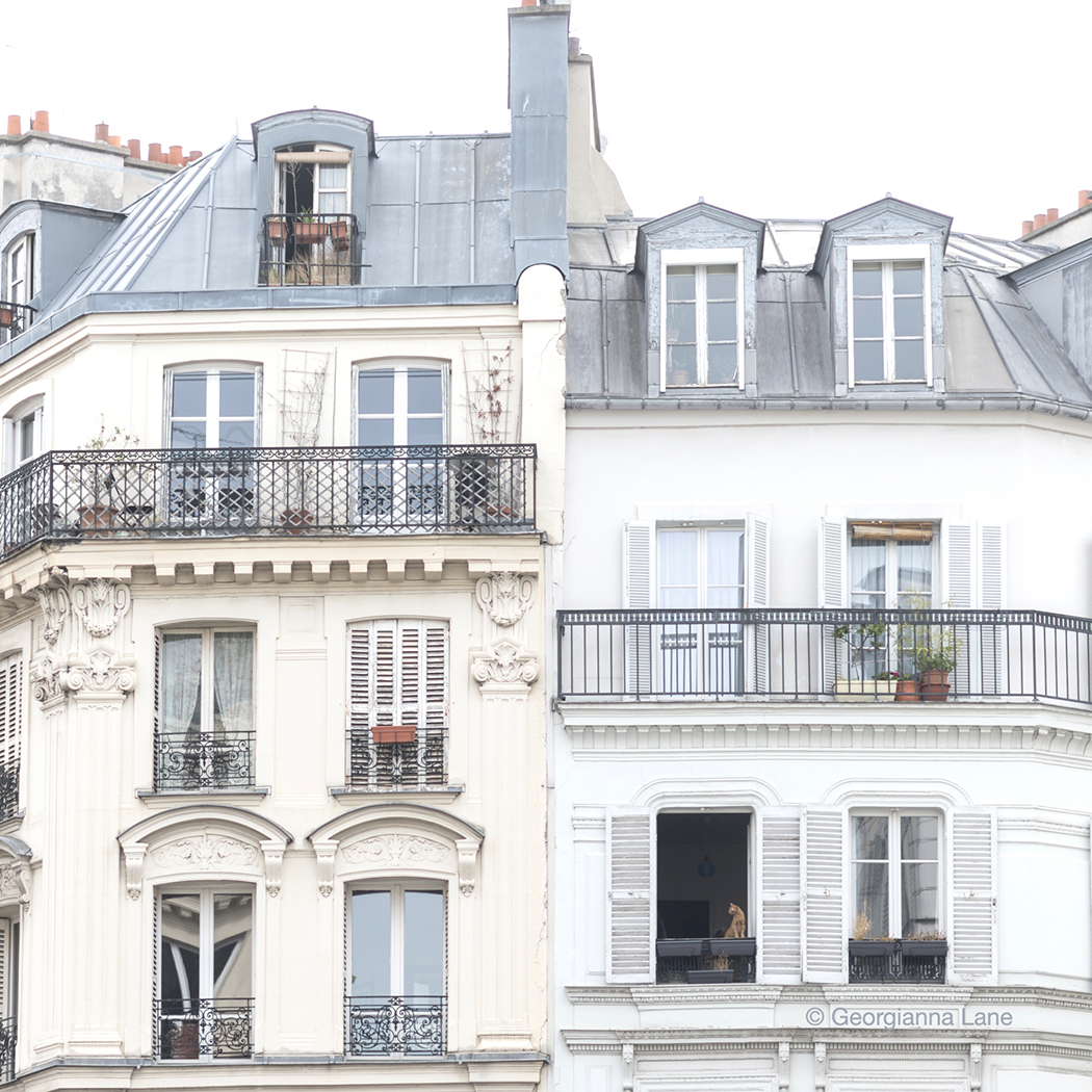 Winter Windows, Paris by Georgianna Lane