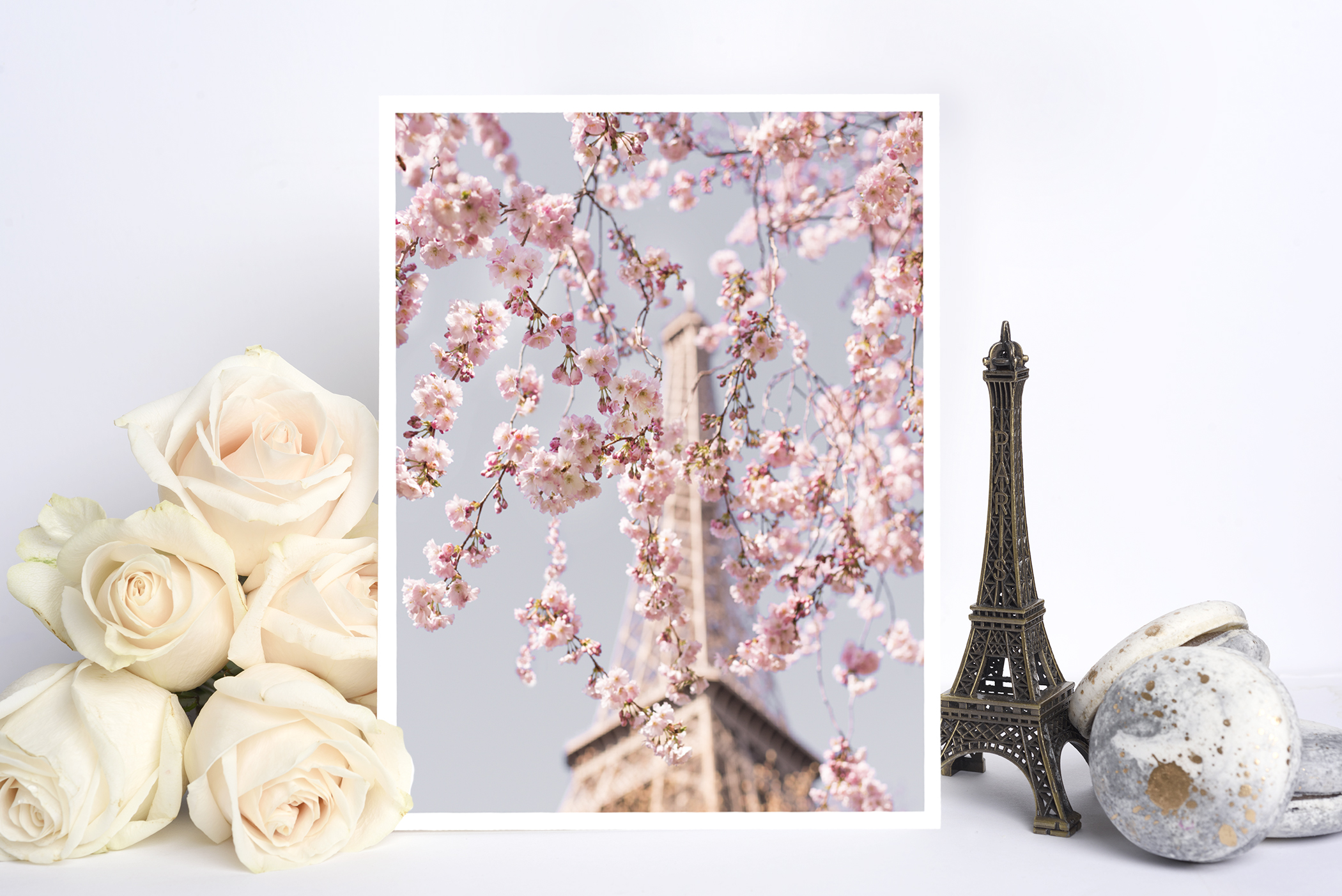 Paris in Bloom by Georgianna Lane