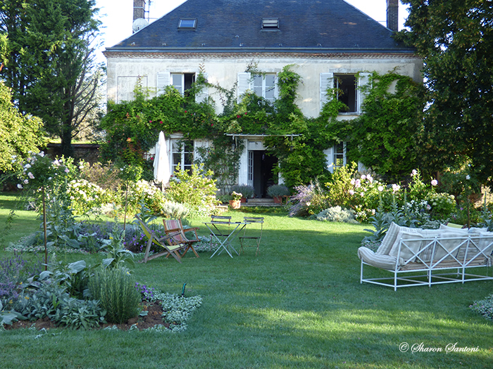 Sharon Santoni My French Country Home