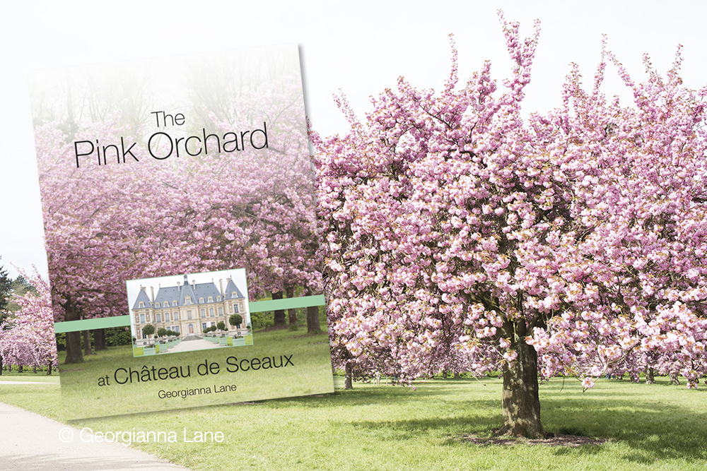 Cherry Blossoms at Parc de Sceaux by Georgianna Lane
